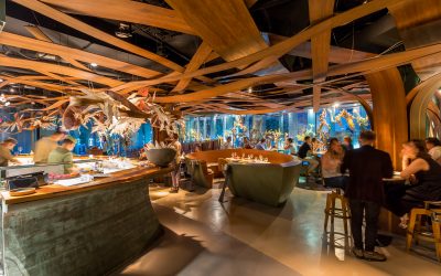 Los 12 Restaurantes más originales de Barcelona